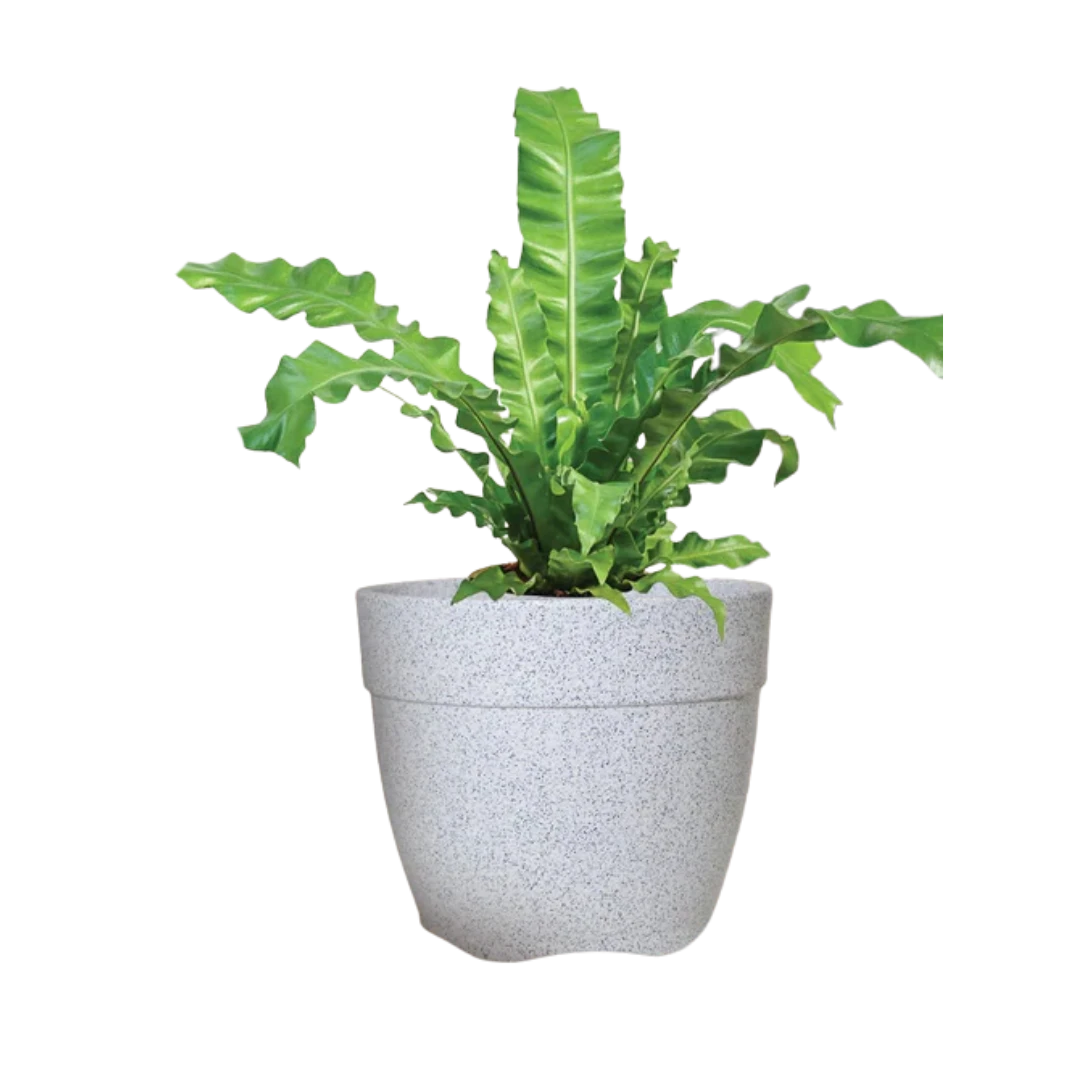 Stone Finish Planter